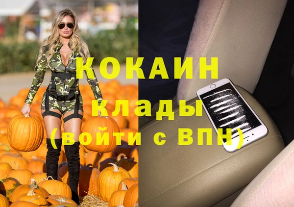альфа пвп Заводоуковск