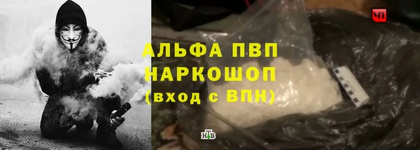 spice Аркадак