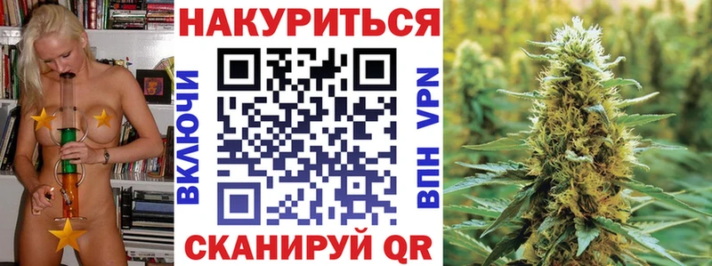 где купить наркотик  Шилка  Каннабис конопля 